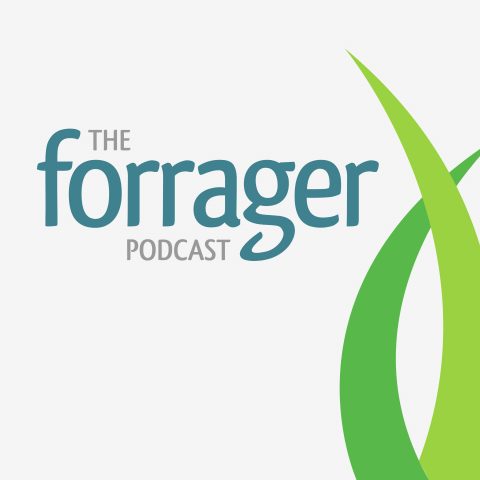 The Forrager Podcast